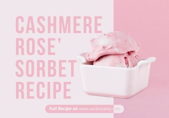 cashmere rose sorbet recipe